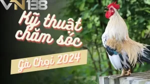 Chi tiết kỹ thuật chăm sóc gà chọi tốt nhất 2024